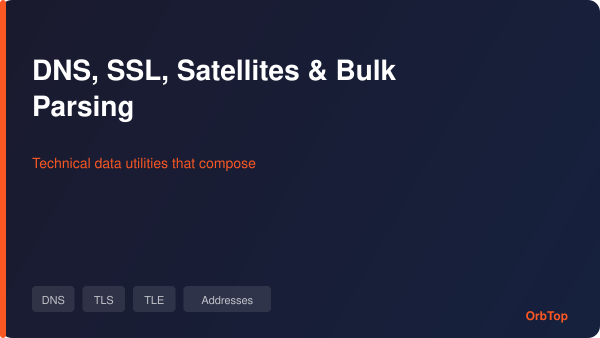 Technical Data Utilities: DNS Audits, SSL Checks, Satellite Elements, and Bulk Parsing